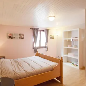 Appartement En Rez De Jardin Et Terrasse Ds