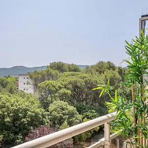 Appartement Grand T2 Lumineux Et Climatise Avec Balcon